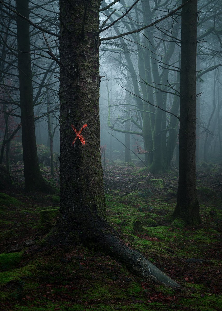 Neil Burnell tweet media