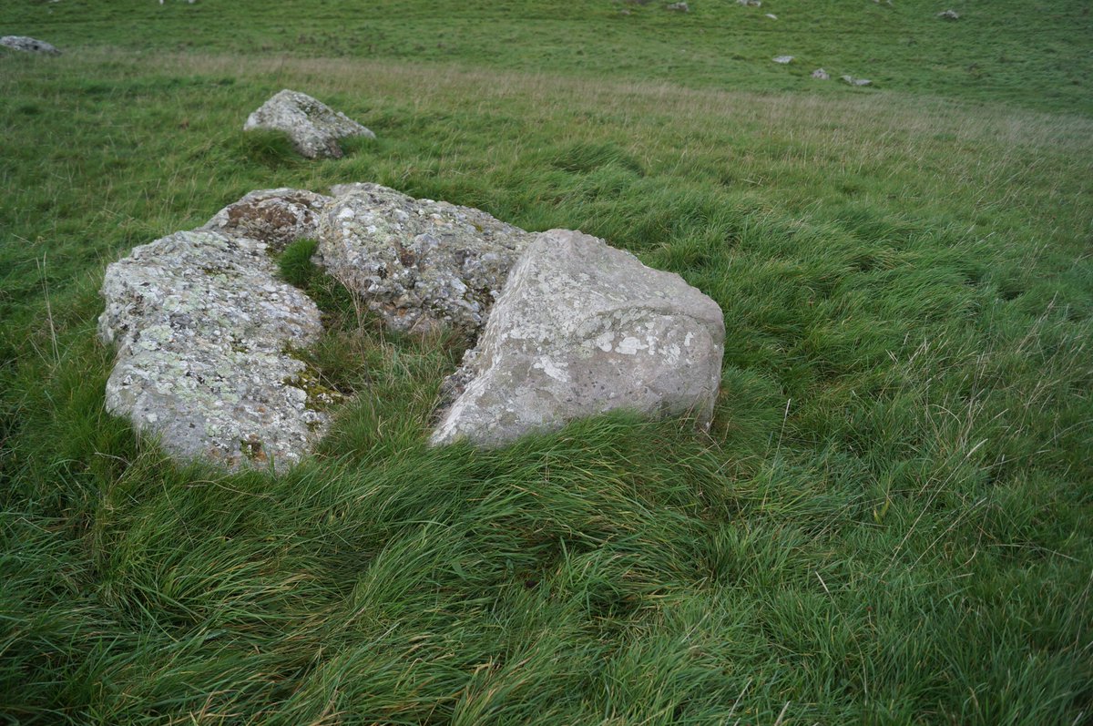 PastParticipate tweet media