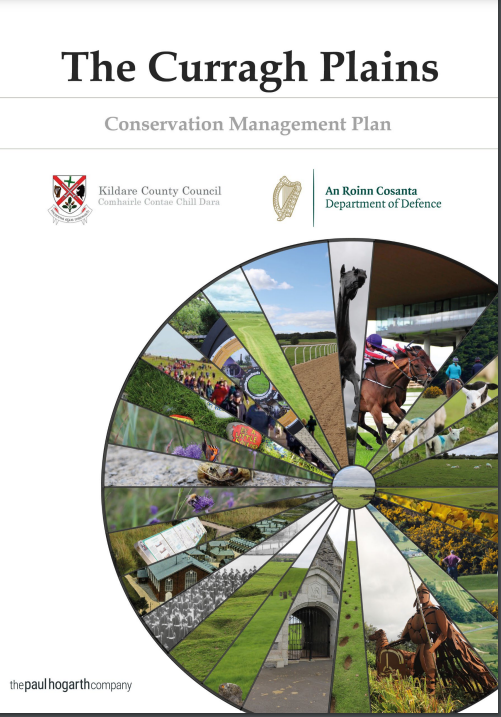 lbcilldara's tweet photo. A good start and timely: recognising historic rights but also proposing control of grazing sheep, management of parking,  restoring biodiversity, safeguarding the water table...and an Agency to manage it all. One for the new Programme for Government? https://t.co/3OxHrKu8pp