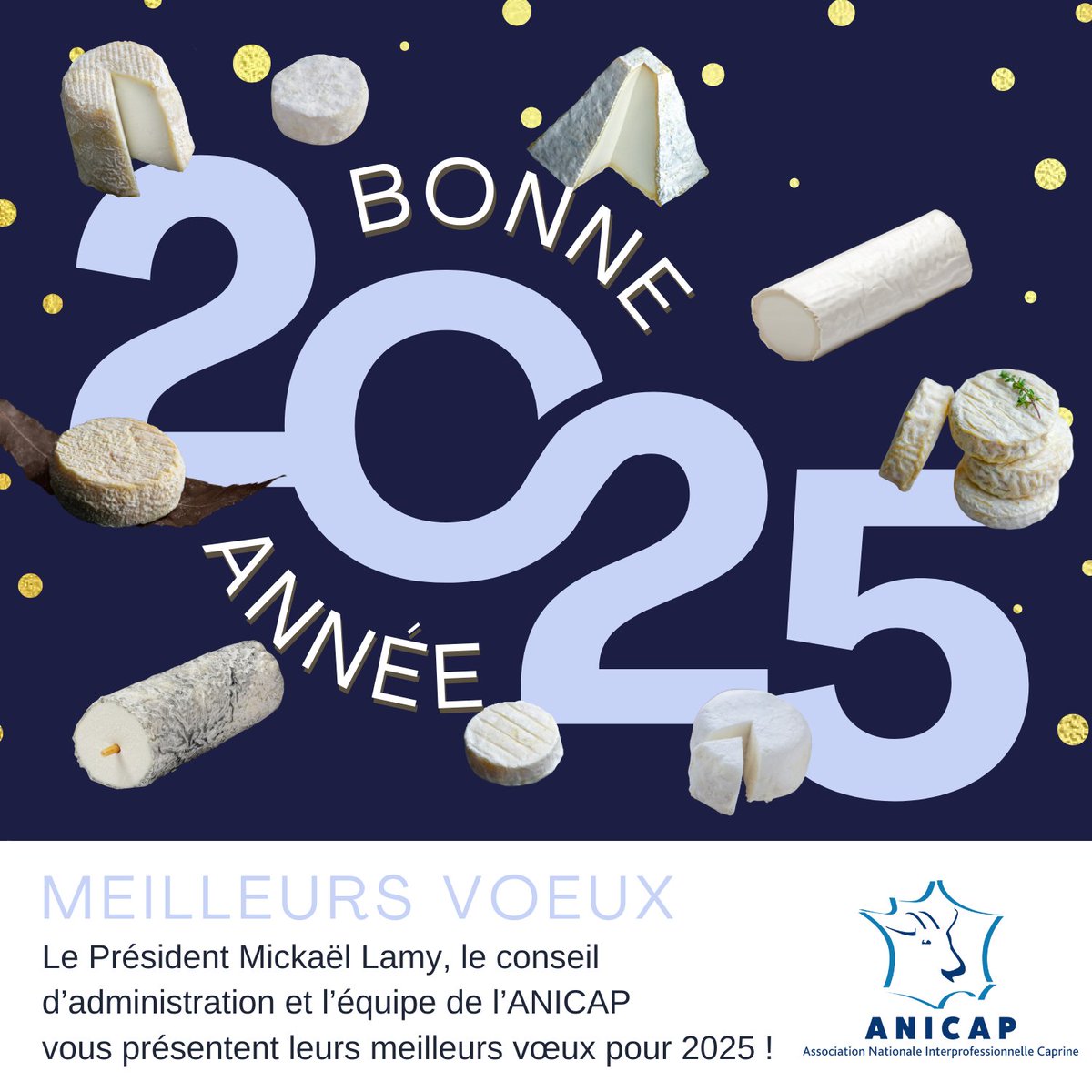 Le Président Mickaël Lamy, le Conseil d'Administration et l'équipe de l'ANICAP vous présentent leurs meilleurs vœux pour l'année 2025 !
