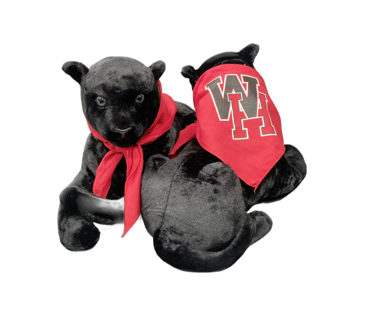 The Panther's Den tweet media