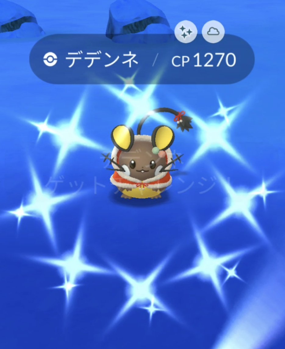 GARYO5211's tweet photo. １週間早いけど、
メリークリスマース！🎄🎅🎁✨

#ポケモンGO #デデンネ #色違い https://t.co/ymmIrh52B6