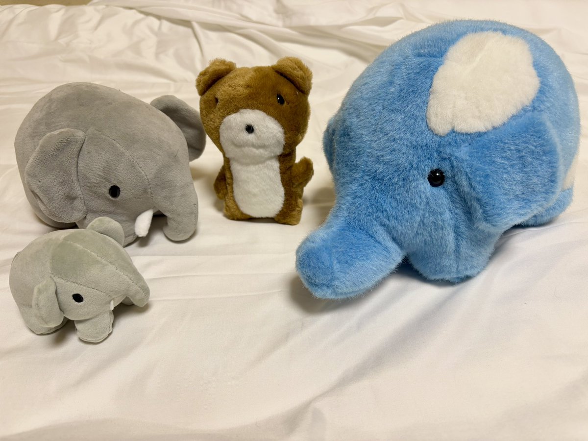 あおぞら銀行のぞう (@aozora_zou) / Posts / X