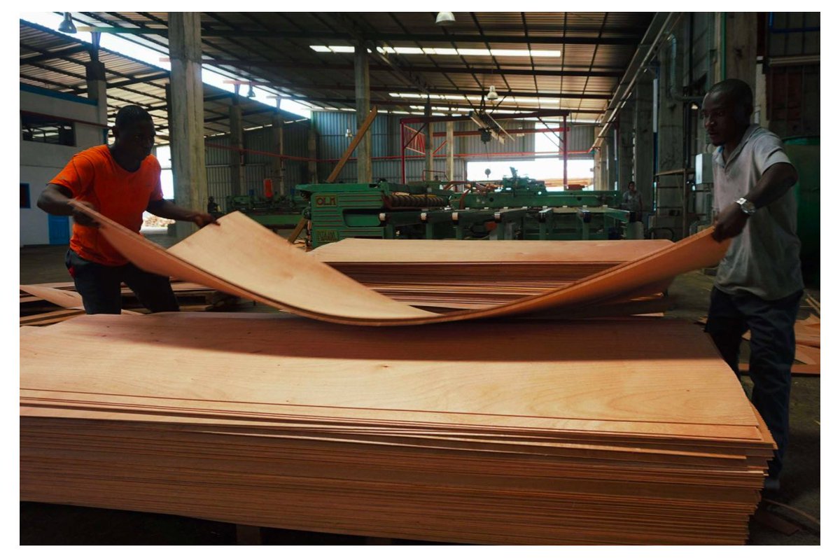 We offer wood veneer for sale in bulk, available in standard or custom sizes.

We manufacture and supply our wood veneer in Gabon and ship directly to our #WBI global customer base.

To find out more please visit woodbois.com/products/venee…