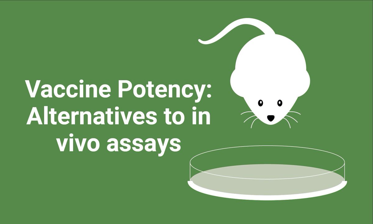New Blog Post! In Vitro vs In Vivo #Potency Assays: Modern #Vaccine Batch Release 
Read here: buff.ly/4iqQ4w1 
We examine some of the challenges of in vivo batch release testing, and discuss why in vitro techniques can be superior. 

#bioassay #biostatistics #statistics