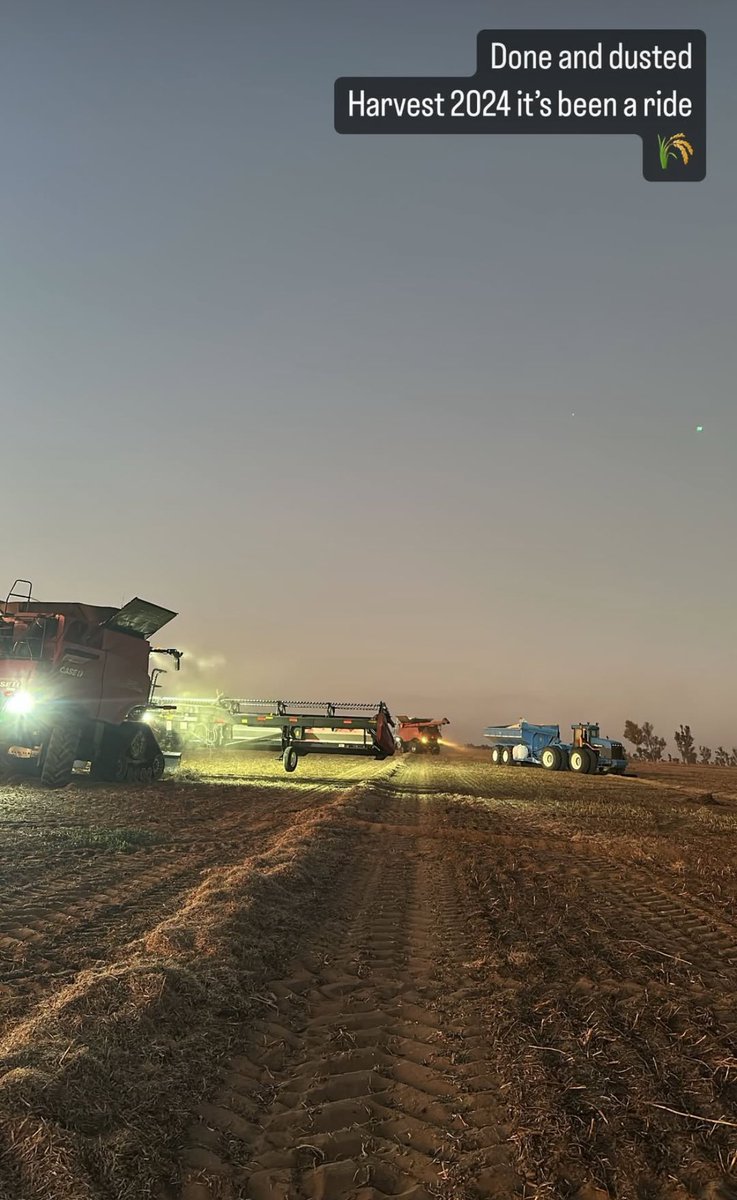 Robert Kathryn🇬🇧🇺🇸🇭🇲 tweet media