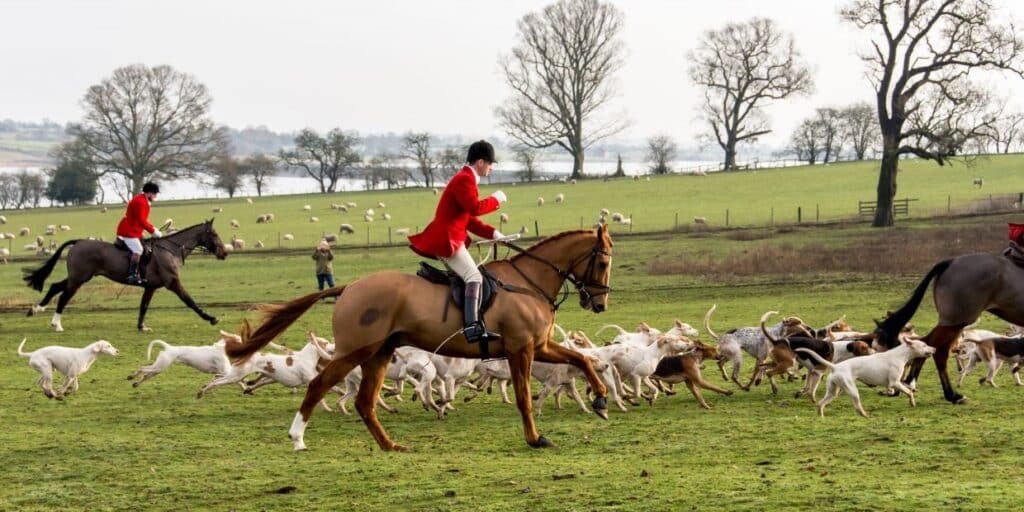 ProtectTheWild_'s tweet photo. Boxing Day hunts continue under the guise of “trail hunting,” but wildlife suffers. This outdated, cruel tradition has no place in modern Britain. Time to end it for good.

Sign our petition for a proper ban on hunting: https://t.co/DsoK2CexGc https://t.co/KUizdQDGjS