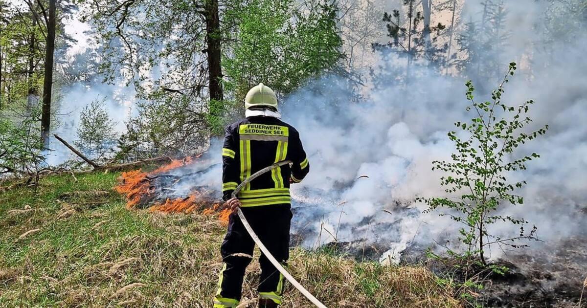 In Brandenburg haben die Vorbereitungen auf die Waldbrandsaison 2025 begonnen maz-online.de/brandenburg/wa…
