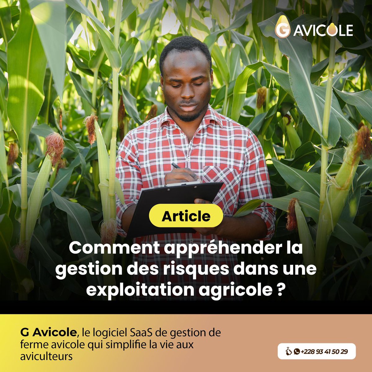 G Avicole tweet media