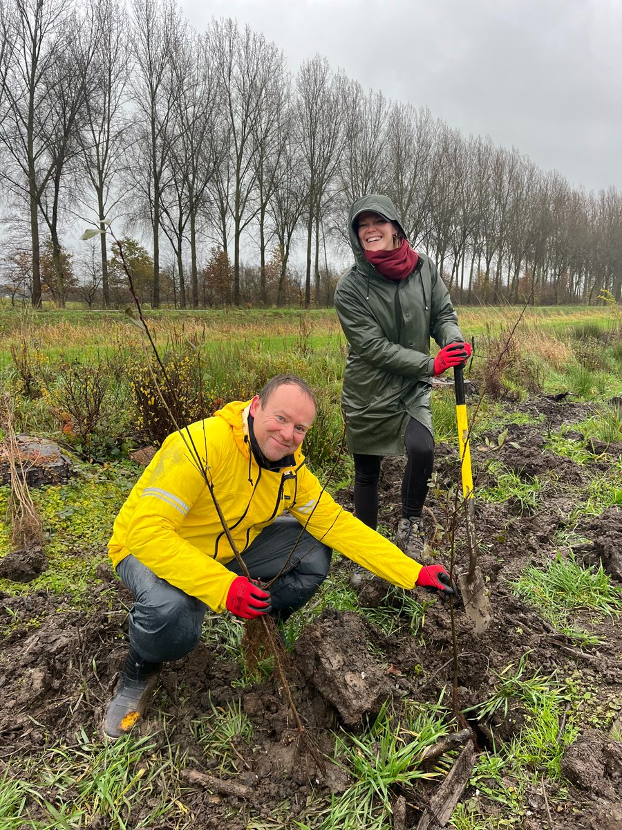 LIFETerraEurope's tweet photo. Muddy planting with ABN Amro at the Mariënwaerdt estate

Together we planted 300 trees. The challenging conditions brought out the best in everyone. Nobody went home clean, but they did go home happy 💚

Thank you for the great energy &amp; Land Life Company for the client relation. https://t.co/pqWEXaVP4q