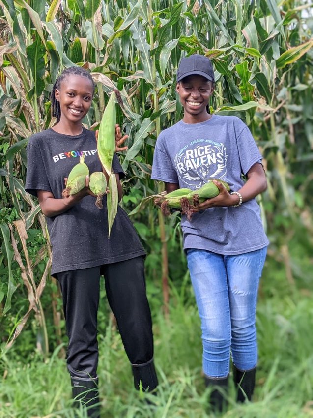 Akili za kesho tweet media