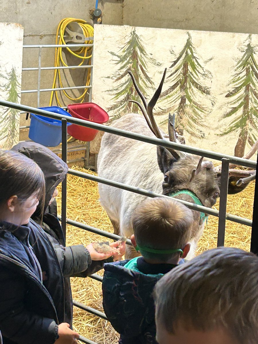 BarbyCEPrimary's tweet photo. Acorns having lots of fun at the Windmill Farm Park.  We’ve fed the reindeers and seen Santa! Next stop the elf workshop! https://t.co/Ab8D2ZoeHF