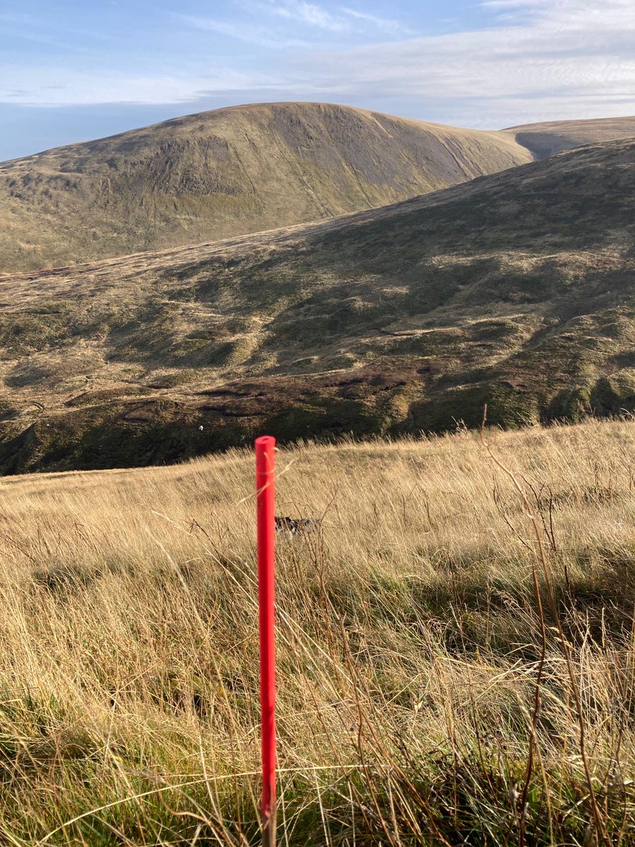 Borders Forest Trust tweet media