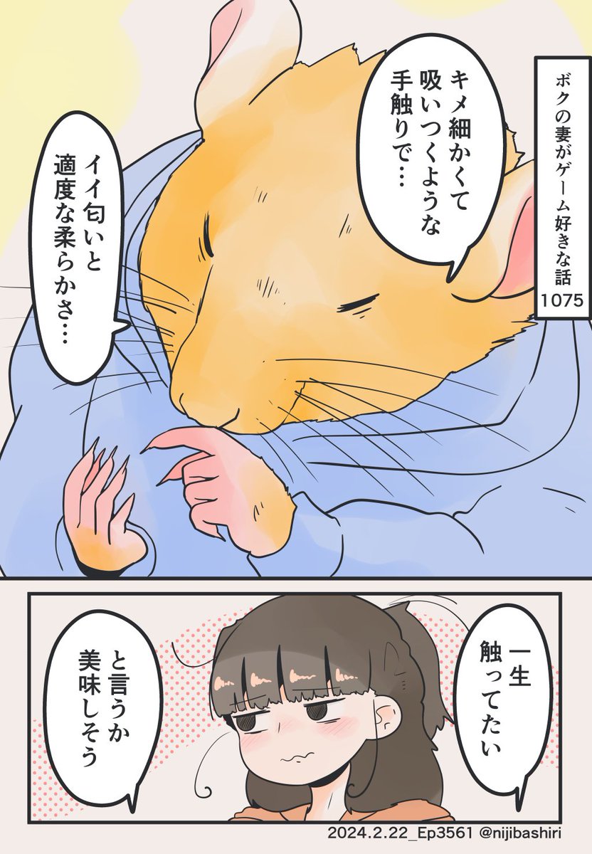 (2/2) 