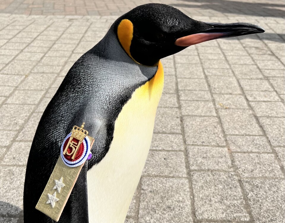 nilsolav_sol's tweet photo. $Nilsolav 

CA: Tb58eZvL91MJrFtv7t9musFWBVMGdfS72wETUic4v6s

🐧  1500 boost on 

🐧 #14 Dexscreen
  
🐧 363 members

🐧  468k volume 

Big thing coming soon, Dont fade $Nilsolav

Jeeters will  cry  soon 

https://t.co/drLRfMEIiW https://t.co/mhoQPsOhHv