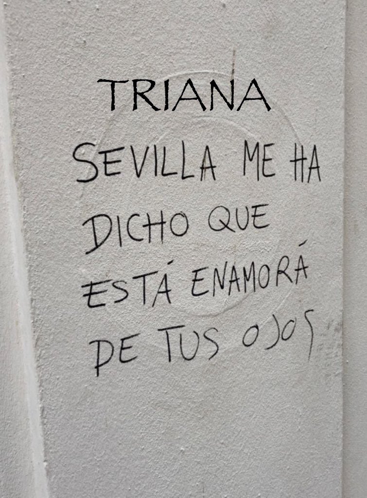 TteAlcalde41010's tweet photo. Buenos días desde la orilla correcta. https://t.co/oRBxm9UwD0