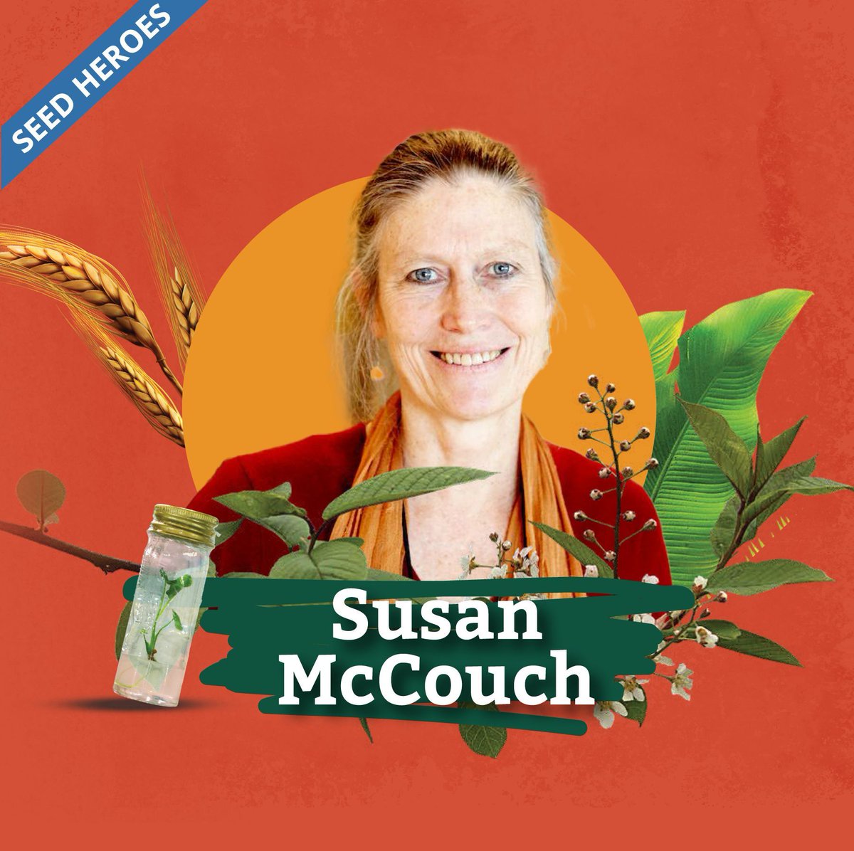 CropTrust's tweet photo. πΎ For mapping the #rice genome & advancing plant breeding, Dr. Susan McCouch is our Seed Hero this month! π±
Her work transforms agriculture, supports food security, & inspires women in science. π©βπ¬β¨
Read more: https://t.co/1mHI5OX7og
@irri @CornellCALS #BOLDcwr https://t.co/LFbOczgryl