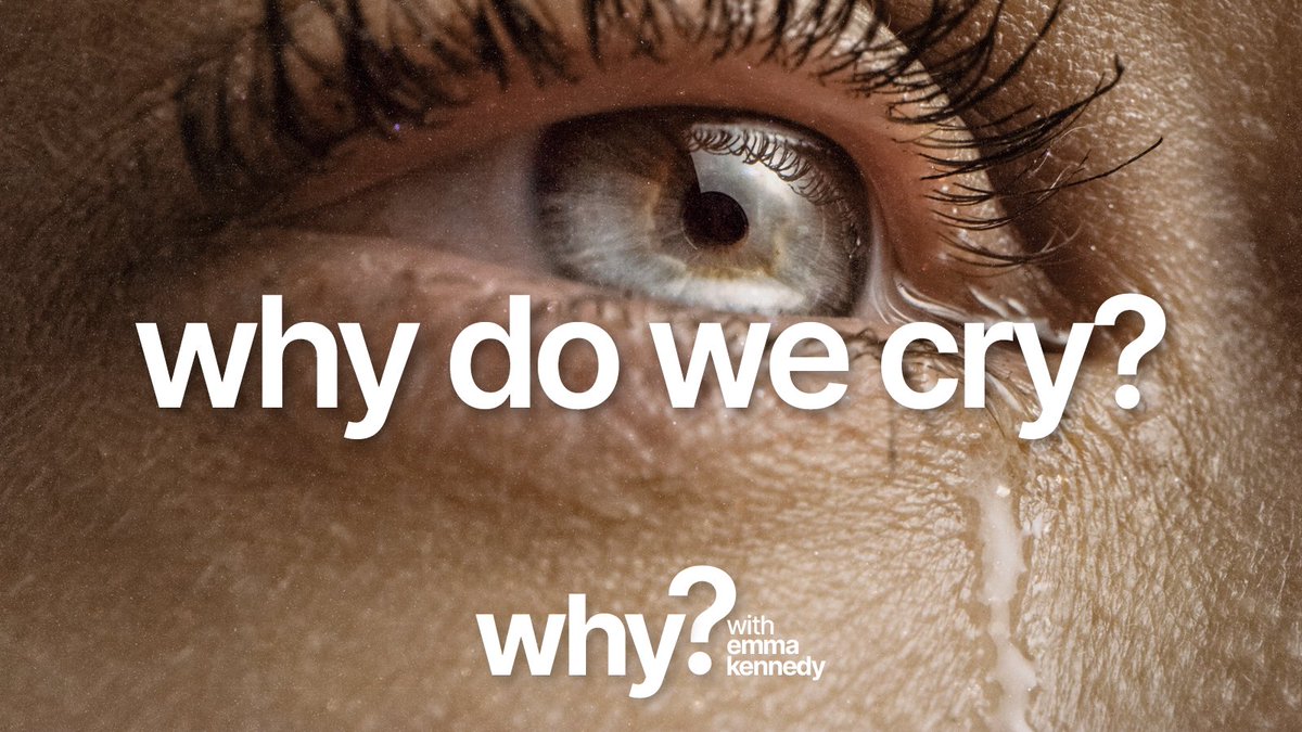 Why? with Emma Kennedy (@why_thepodcast) on Twitter photo 😭NEW EPISODE😭
From tears of laughter to sadness, we cry all the time - but why?
In our latest episode <a href="/EmmaKennedy/">Emma Kennedy</a> is joined by Ad Vingerhoets and Tom Lutz to find out why humans cry so much.
Listen now! 🔊⬇️
linktr.ee/whypodcast 😭NEW EPISODE😭
From tears of laughter to sadness, we cry all the time - but why?
In our latest episode <a href="/EmmaKennedy/">Emma Kennedy</a> is joined by Ad Vingerhoets and Tom Lutz to find out why humans cry so much.
Listen now! 🔊⬇️
linktr.ee/whypodcast