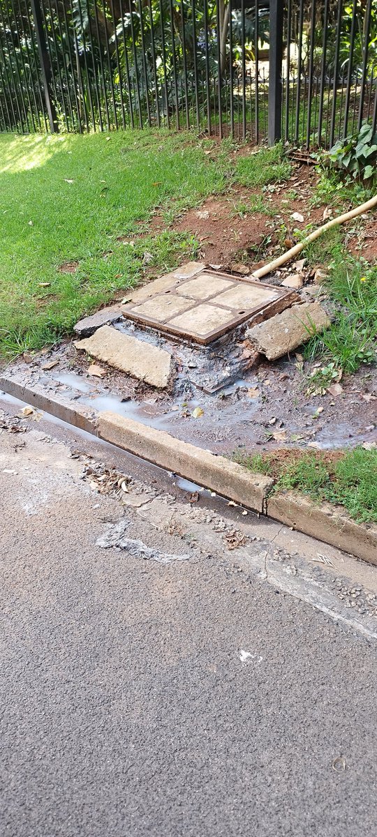 Niki Seberini tweet media