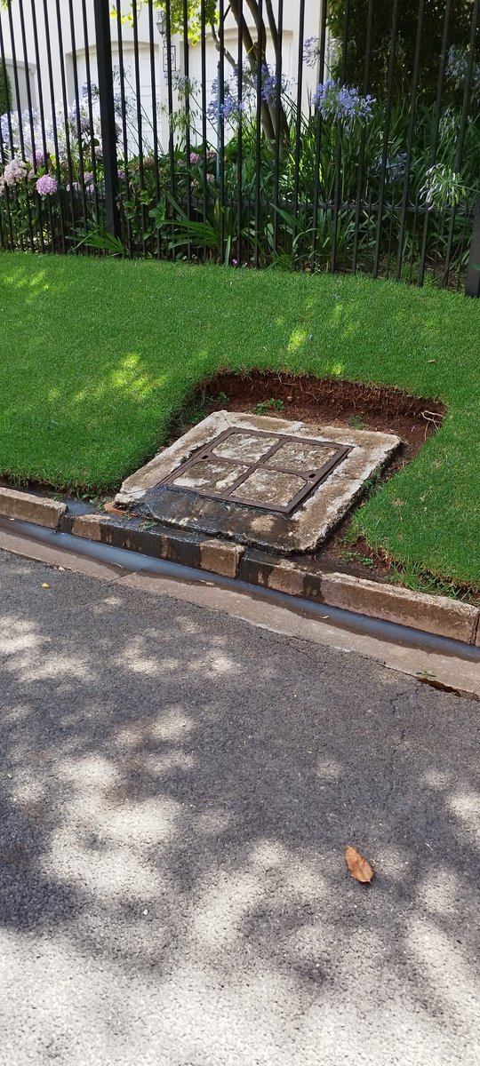 Niki Seberini tweet media