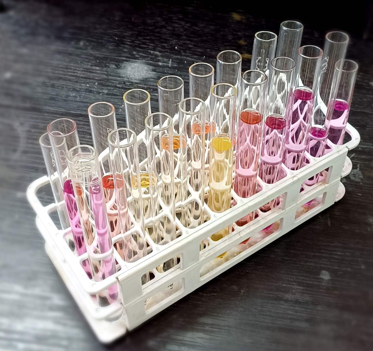 OpsenicaLab's tweet photo. Snapshots from the lab: Co-chemistry 🩷⚗️🥼
#onwednesdayswewearpink #chemistry #academia #reaction #cobalt #phd #pinkaesthetic #universityofbelgrade #facutyofchemistry #ubfc #univerzitetubeogradu #hemiijskifakultet #chemtwitter https://t.co/05TBlzBMt9