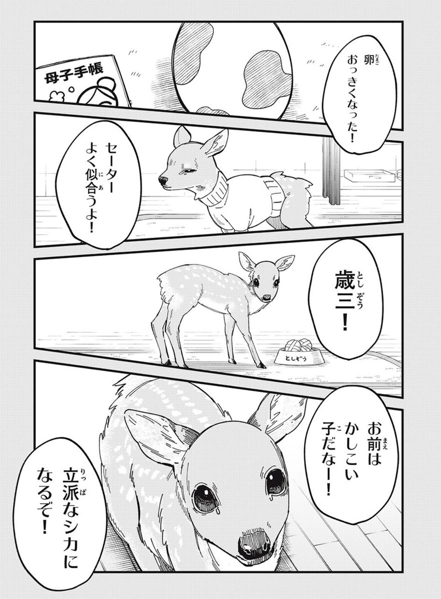 しかのこのこのここしたんたん、マガポケ更新きてます!
無料更新分はのこたんが熱湯を浴びる話、ポイント更新分は親子の話です!
本日発売のBlu-rayBOXと合わせてよろしくお願いします🦌
#しかのこのこのここしたんたん
https://t.co/0r4au1mBgv https://t.co/2hb9vDIzYo