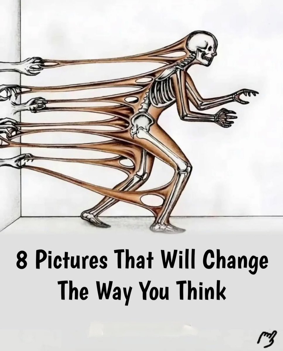 Gladiatorszonee's tweet photo. 8 Pictures that will change the way you think https://t.co/68wtJZwk9k