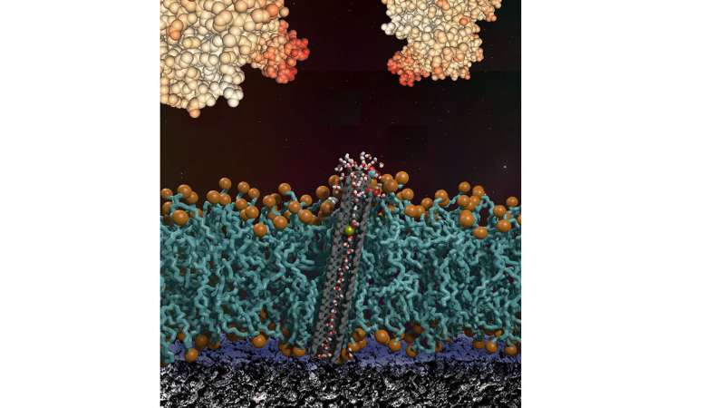 Bsbe2024's tweet photo. Biosensors require robust antifouling protection Read moer at: https://t.co/YyaXzGNXW9 for more related information join at: https://t.co/vXQJONgHb1 #Bio #technologies #sensors #Electronic #skyフレンド募集中 https://t.co/4weL2ByVnR