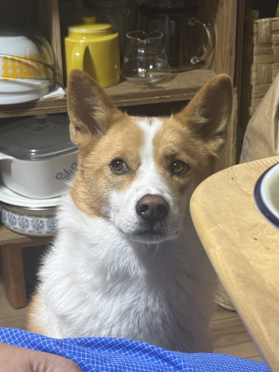 inullnuit (@inullnuit) on Twitter photo 