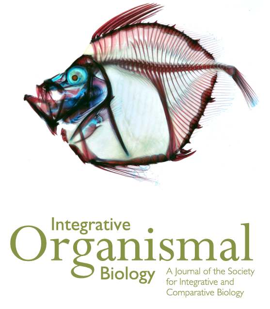 iobjournal's tweet photo. Celebration of great covers for 2024!
#Morphological Diversity and #Evolution of Jaw #Morphologies in #Zeiform #Fishes (Teleostei, Paracanthopterygii)
Peters, Duclos, Wilson, Grande
https://t.co/usHlVNNAeG https://t.co/ojBvf8w6sc