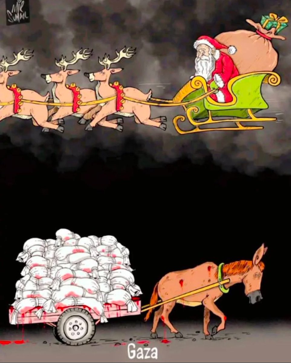 Christmas is cancelled.

There’s nothing to celebrate while the West massacres innocent children so it can steal land and resources.