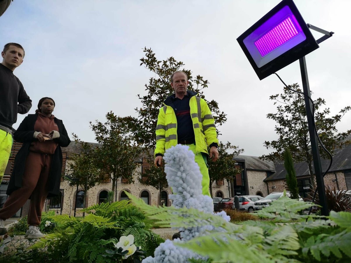 « Un jour, nos villages seront en partie éclairés grâce à ce procédé » : la nuit tombée, ces plantes s’illuminent
➡️ l.leparisien.fr/xUXc