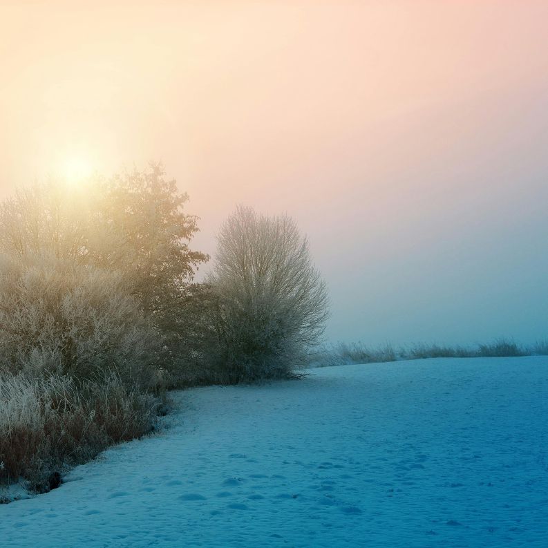 It’s not just about what’s above ground - Sea2Soil nourishes your soil's biology, so every seed has the best chance to establish deep, healthy roots. Ready for the next level of farming? 🌿

Learn more about our product: buff.ly/3VEG08E