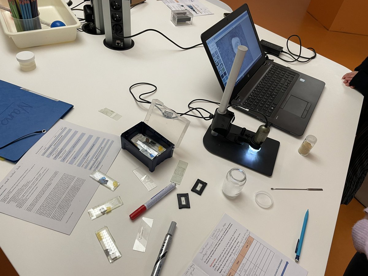 MISS_sciences tweet media