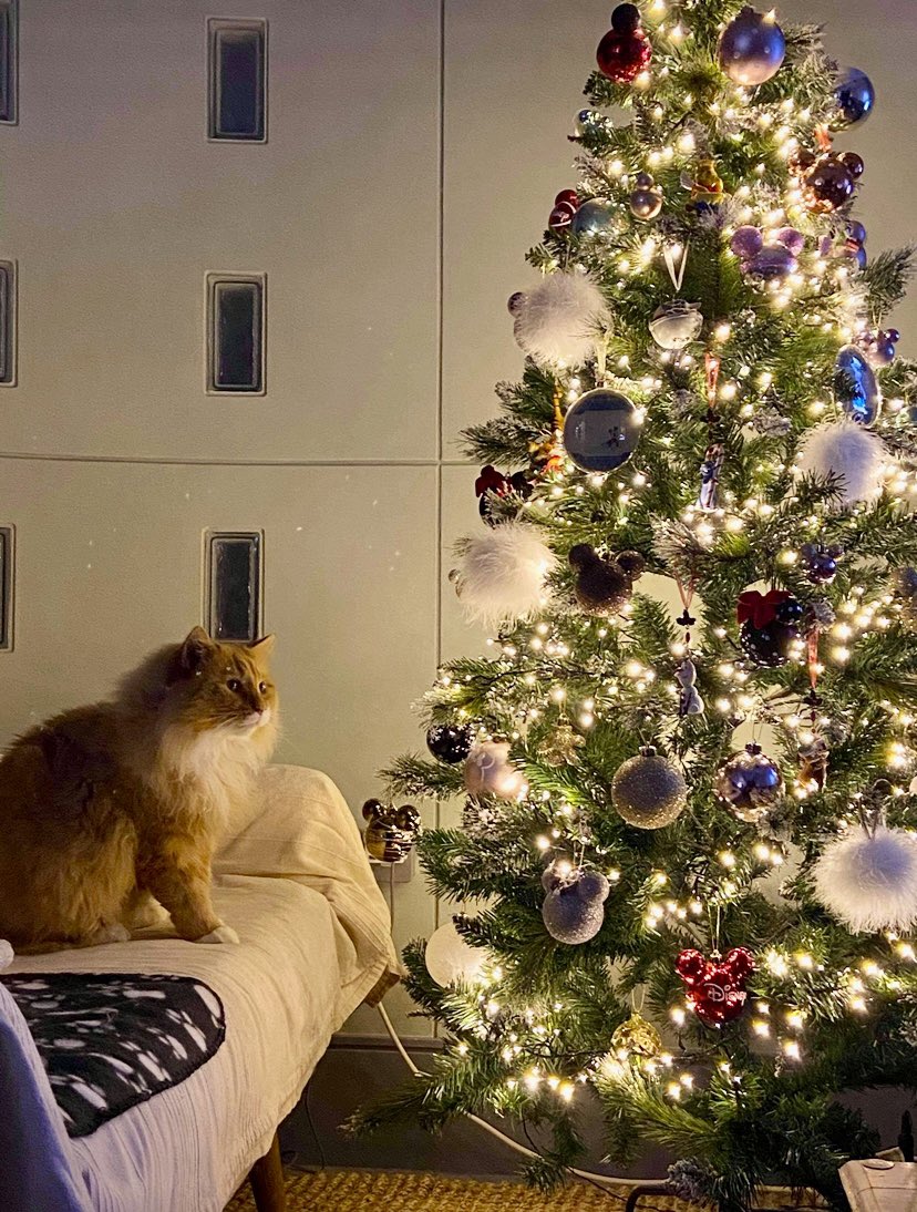 Susan Calman tweet media