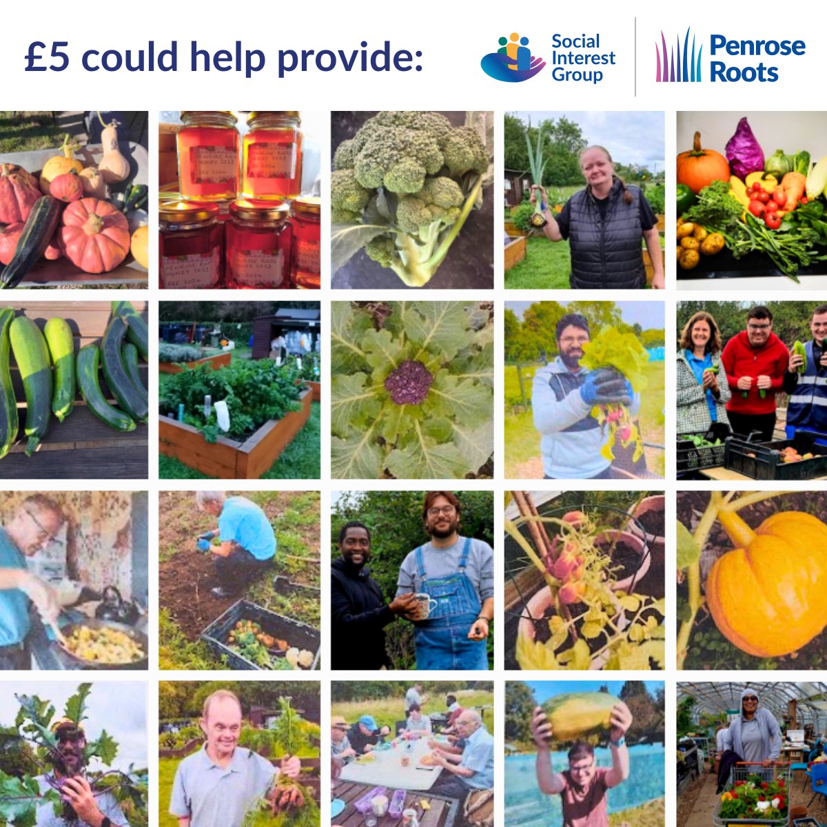 This winter at SIG Penrose Roots, £5 can make a BIG difference! Help us provide:
🌱 Seeds and supplies for winter community growing 
🥫 Fresh food parcels for local food hubs 

Let's come together to support Luton's vulnerable residents ow.ly/BqWx50UpOke 
#CommunitySupport