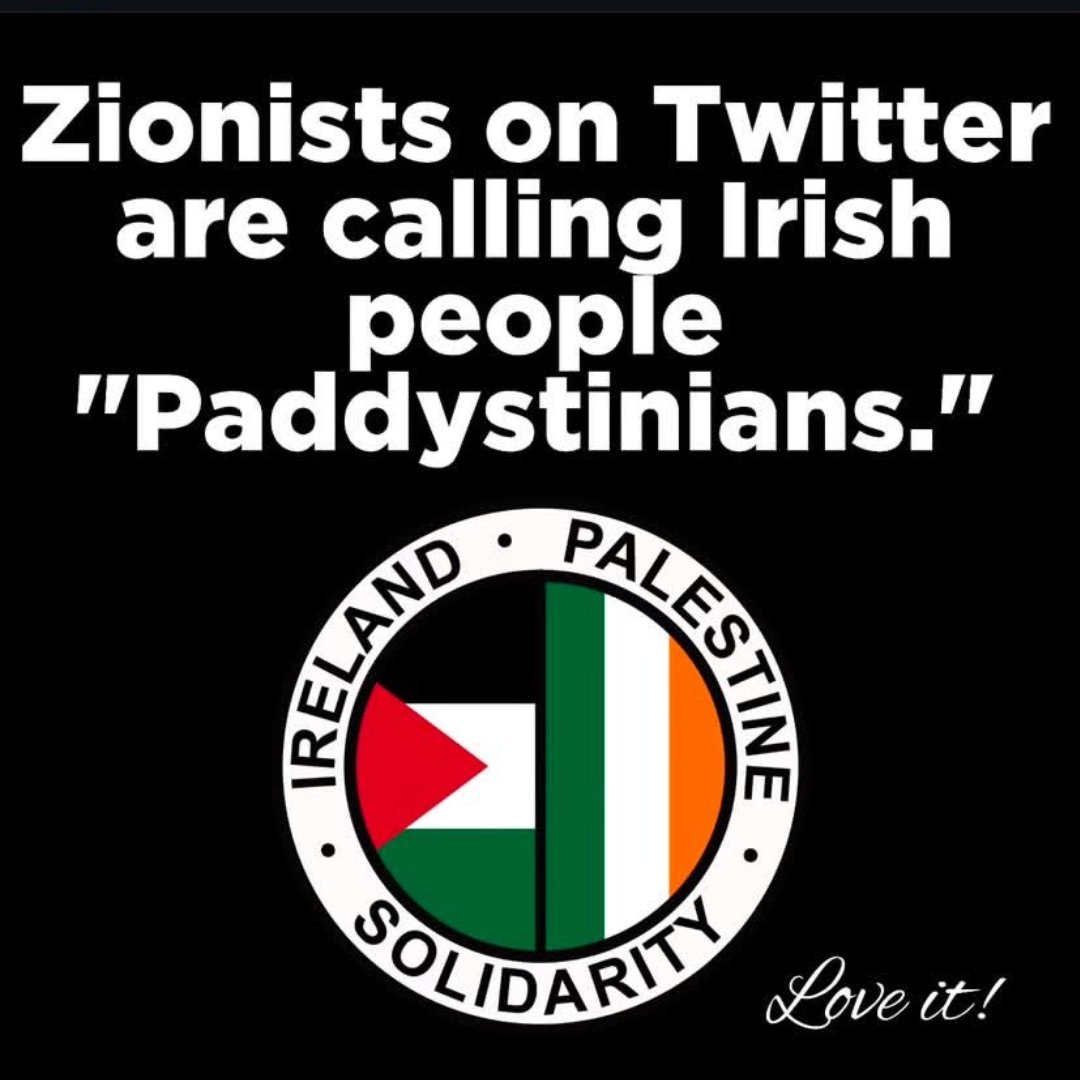 Proud Paddystinian 🇮🇪❤️🇵🇸