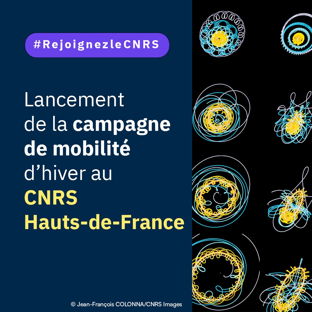 #RejoignezleCNRS | Lancement de la campagne de mobilité d'hiver des Ingénieurs Techniciens et Administratifs au <a href="/CNRS/">CNRS 🌍</a> !

Découvrez l'ensemble des offres du <a href="/CNRS_HdF/">CNRS Hauts-de-France</a> ➡️ mobiliteinterne.cnrs.fr/ords/afip/owa/…
