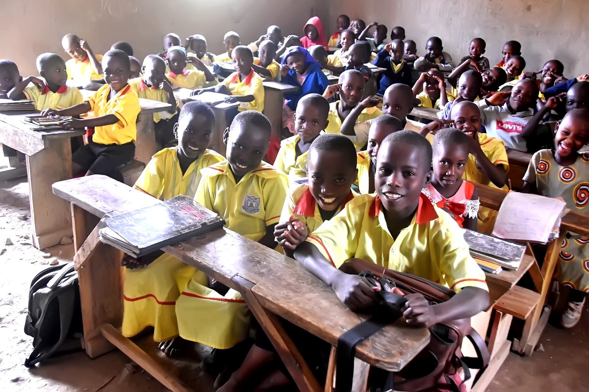 Humanity Direct tweet media