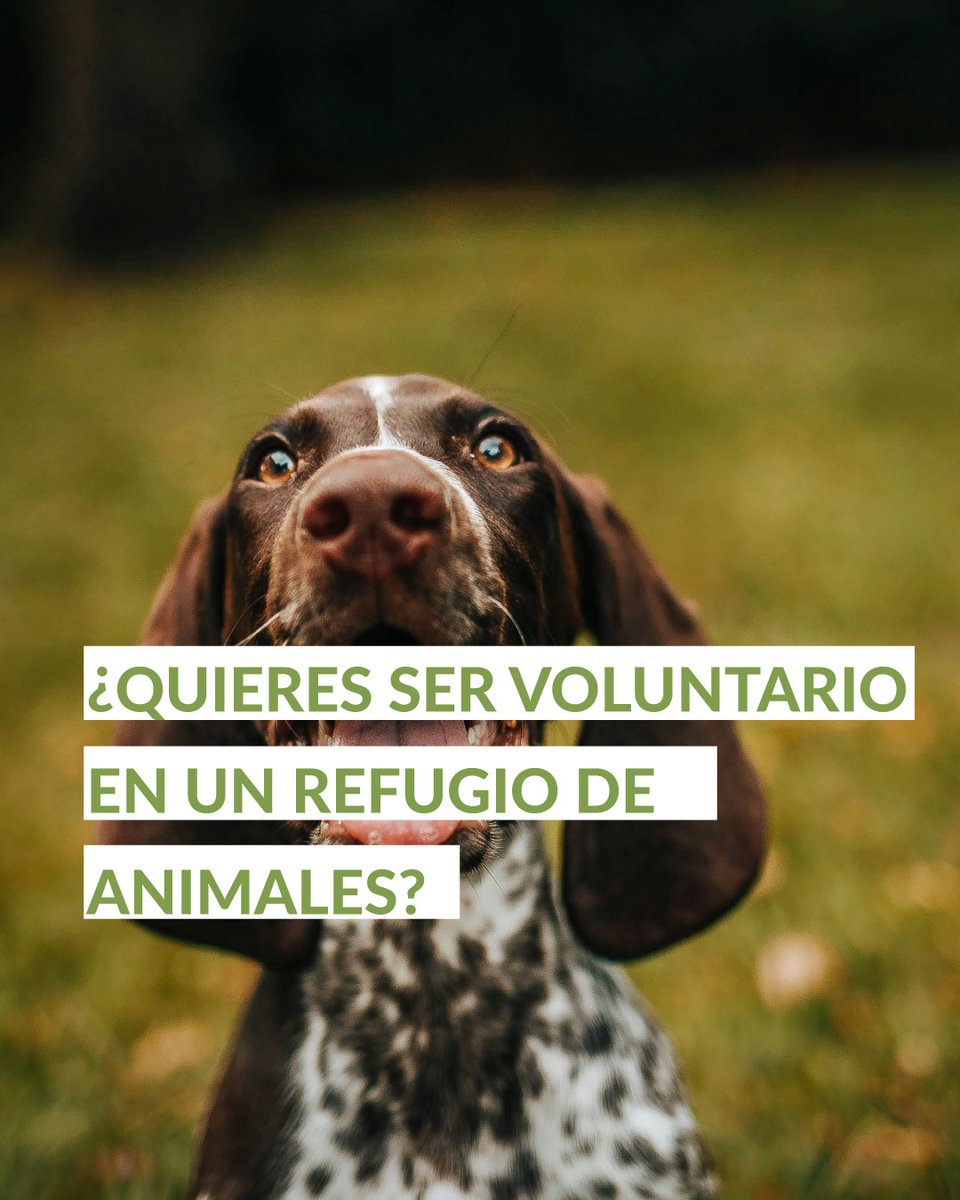 AseguradoSolidarios tweet media