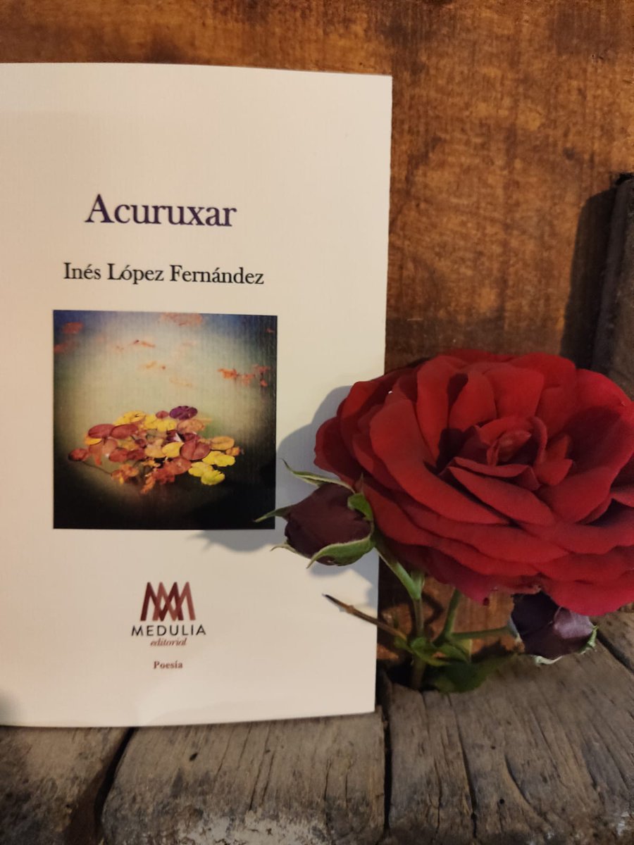 A Inés López Fernández tweet media