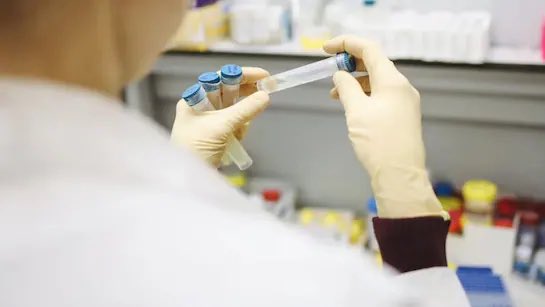 Russia Develops Cancer Vaccine, To Distribute For Free: Report
-
ndtv.com/world-news/rus…
#Health #medicine #BigPharma