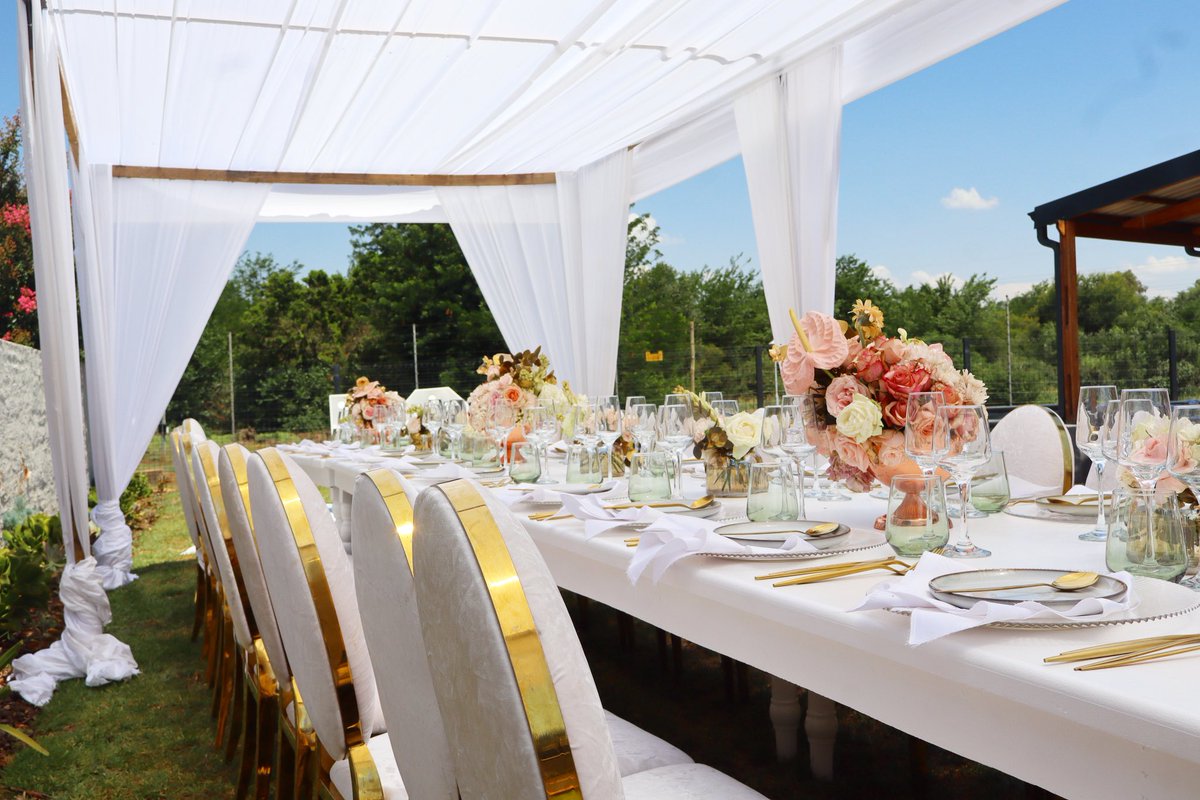 Mabird_decor's tweet photo. Beautiful formal dining setup for a 50th birthday family lunch 🌸

#cabanatent #centurioneventplanner #centurionevents #weddingplanner #rosegoldtabledecor #pretoriaeventsplanner #johannesburgeventplanner #backyardtablescape #mabirddecor https://t.co/O0Ku3OAcBQ
