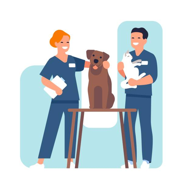 Faye Didymus (@fayedidymus) on Twitter photo Calling vet nurses & educators! What are your go-to events for learning about latest research in your field? We're looking for academic conferences & other events to share findings of our <a href="/vetmindmatters/">RCVS - Mind Matters</a> <a href="/RoyalVetCollege/">Royal Veterinary College (RVC)</a> funded work! #veterinarynurses #mentalhealth #vettwitter Calling vet nurses & educators! What are your go-to events for learning about latest research in your field? We're looking for academic conferences & other events to share findings of our <a href="/vetmindmatters/">RCVS - Mind Matters</a> <a href="/RoyalVetCollege/">Royal Veterinary College (RVC)</a> funded work! #veterinarynurses #mentalhealth #vettwitter