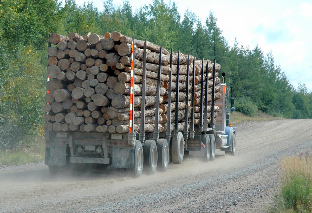 LEARN how to safely navigate the hazards of driving on forest roads; learn more: bit.ly/3YQXph3 

#ForestProducts #Forestry #Logging #Mining #MineRescue #ForestRoads #HealthAndSafety #WorkplaceSafety #SafeDriving #Recreation