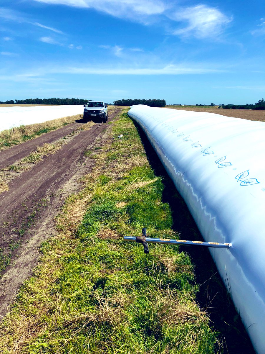 Ni Santa 🎅🏼 tiene tanto trabajo en esta fecha……🤣🤣🤣🫡