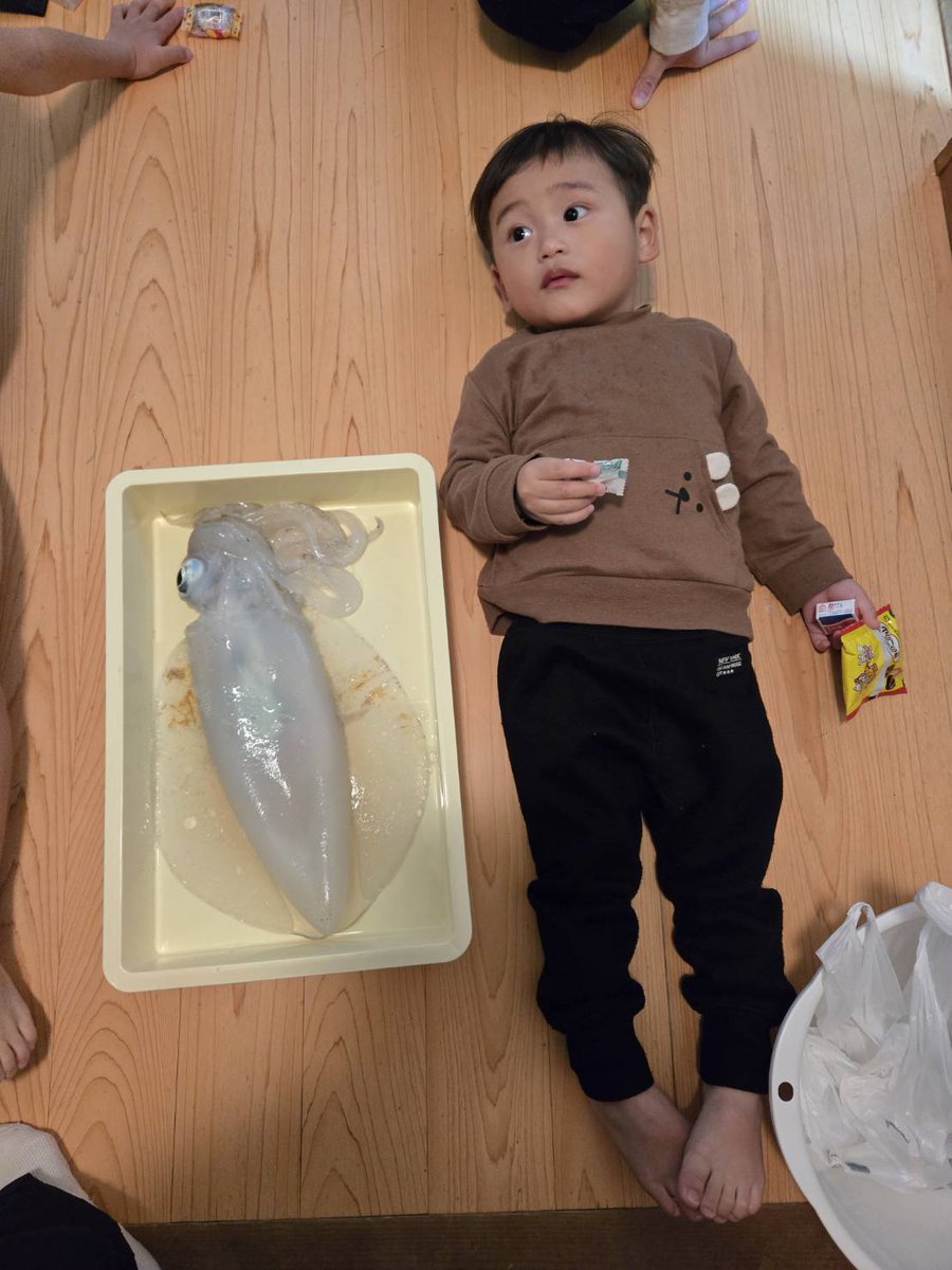 今日釣れたイカと一番下の子😊