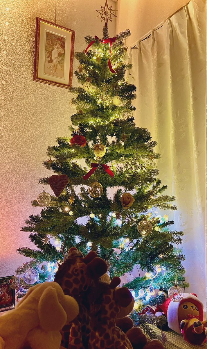 SarahAlainn's tweet photo. ただいま🇯🇵🎄🫎🦌

明日もサラサンタから発表があるかもしれない👂👀♪

🎅🏻 https://t.co/ZGCU6TmxH2