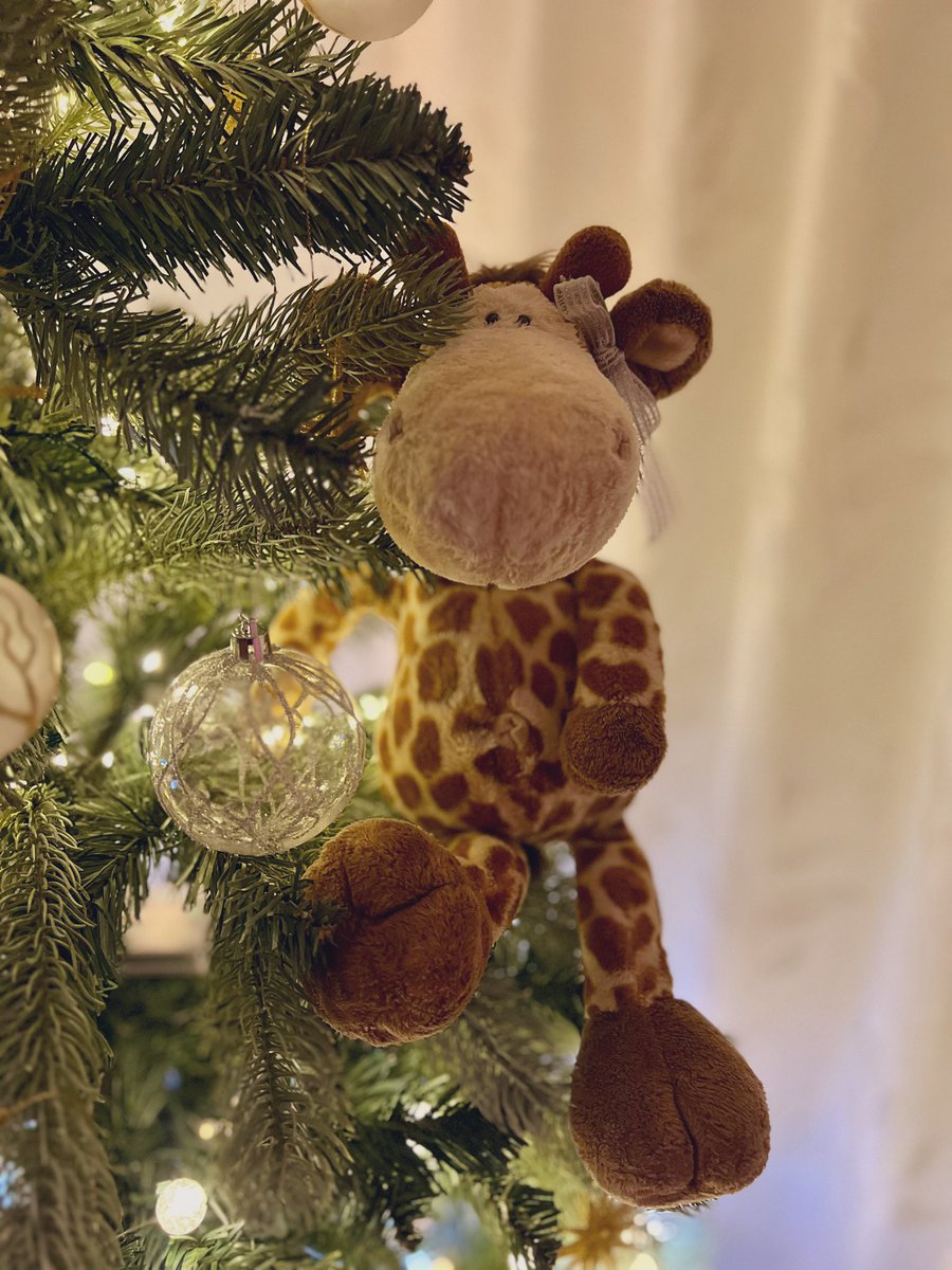 SarahAlainn's tweet photo. ただいま🇯🇵🎄🫎🦌

明日もサラサンタから発表があるかもしれない👂👀♪

🎅🏻 https://t.co/ZGCU6TmxH2