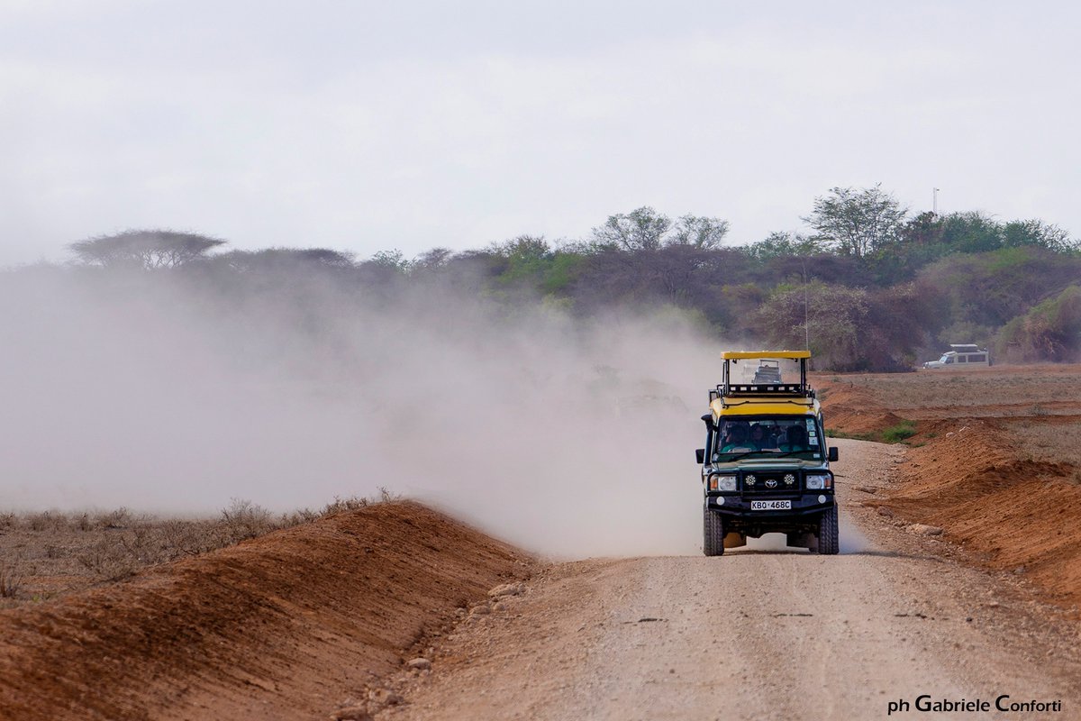 LegnoLinea's tweet image. Kenia